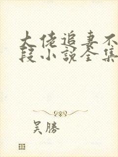 大佬追妻不择手段小说全集阅读