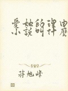 爱她的理由原著小说叫什么名字