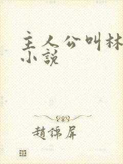 主人公叫林未的小说