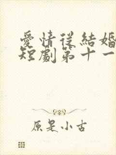 爱情从结婚开始短剧第十一集