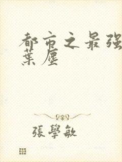 都市之最强仙帝叶尘