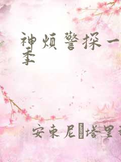 神烦警探一共几季