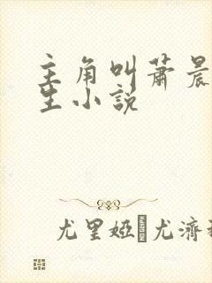 主角叫萧晨的重生小说