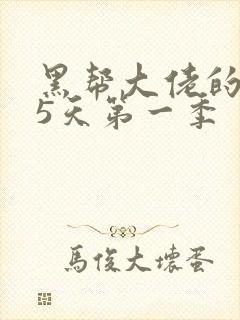 黑帮大佬的365天第一季