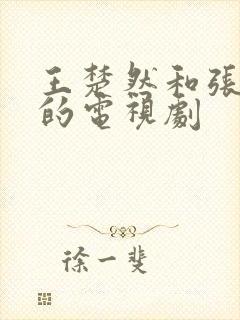 王楚然和张凌赫的电视剧