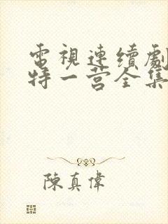 电视连续剧我的特一营全集完整版