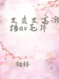 又爽又高潮无遮挡av毛片