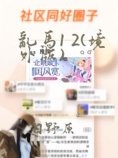 乱马1 2(境外版)：结局+番外