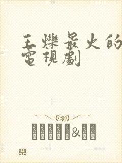 王烁最火的5部电视剧