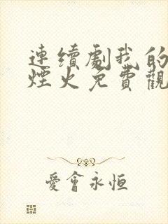 连续剧我的人间烟火免费观看