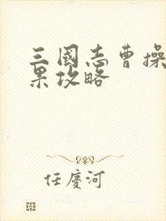 三国志曹操传练果攻略