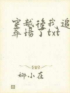 穿越后我追妻火葬场了txt