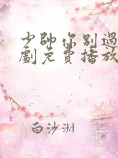 少帅你别过分短剧免费播放在线观看