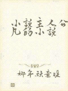 小说主人公叶不凡的小说