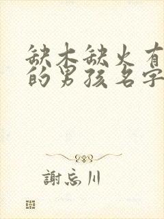 缺木缺火有寓意的男孩名字