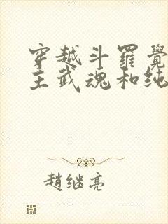 穿越斗罗觉醒圣主武魂和纯阳剑