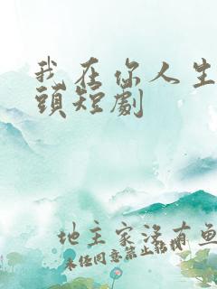 我在你人生的尽头短剧