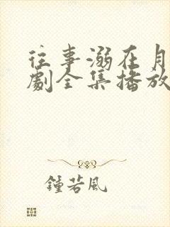 往事溺在月光短剧全集播放