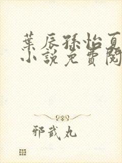 叶辰孙怡夏若雪小说免费阅读