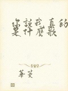 你说我真的爱你是什么歌