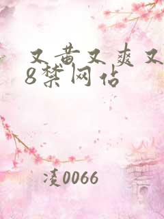 又黄又爽又色18禁网站