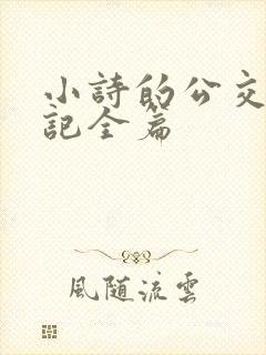 小诗的公交车日记全篇