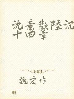 沈意欢陆沉舟第十四章