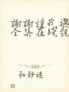 谢谢让我遇见你全集在线观看