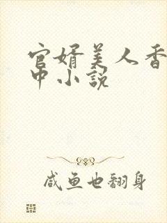 官婿美人香刘志中小说