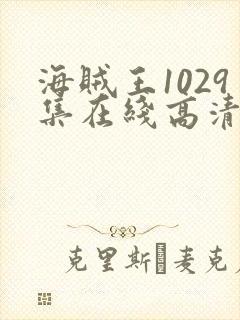 海贼王1029集在线高清免费观看