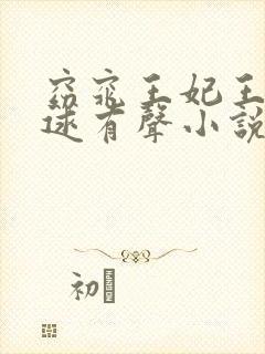 窈窕王妃王爷好逑有声小说