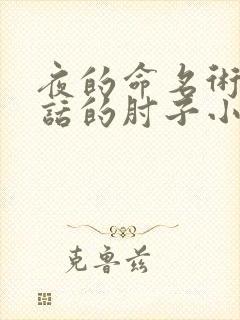 夜的命名术会说话的肘子小说免费阅读