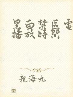 黑白禁区电视剧播放时间