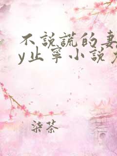 不说谎的妻子by止宁小说免费阅读