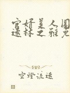 官婿美人图陈志远林之雅免费阅读全文