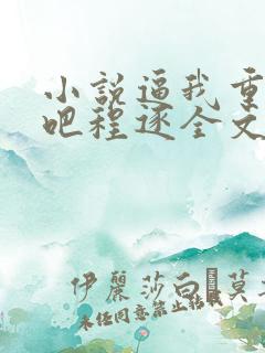 小说逼我重生是吧程逐全文免费读