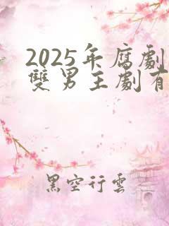 2025年腐剧双男主剧有哪些