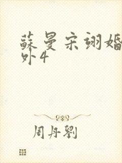 苏曼宋翊婚后番外4