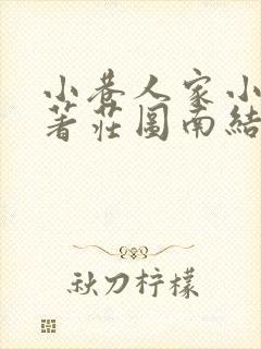 小巷人家小说原著庄图南结局