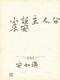 小说主人公叫李辰安