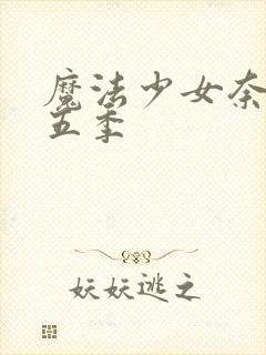 魔法少女奈叶第五季