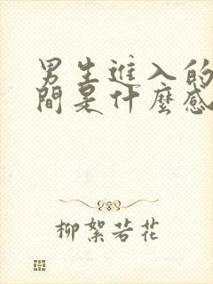 男生进入的一瞬间是什么感觉