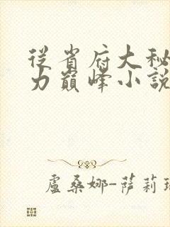 从省府大秘到权力巅峰小说免费阅读