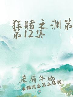 狂赌之渊第二季第12集