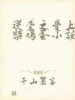 逆袭之爱上情敌柴鸡蛋小说在线阅读