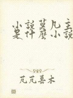 小说莫凡主角的是什么小说