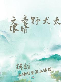 文豪野犬太宰治眼睛