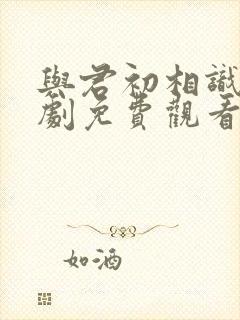 与君初相识电视剧免费观看完整版在线