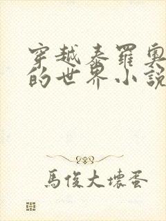 穿越泰罗奥特曼的世界小说