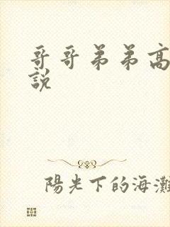 哥哥弟弟高h小说